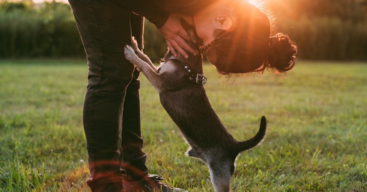 How to Create a Safe Space for Mental Health Discussions